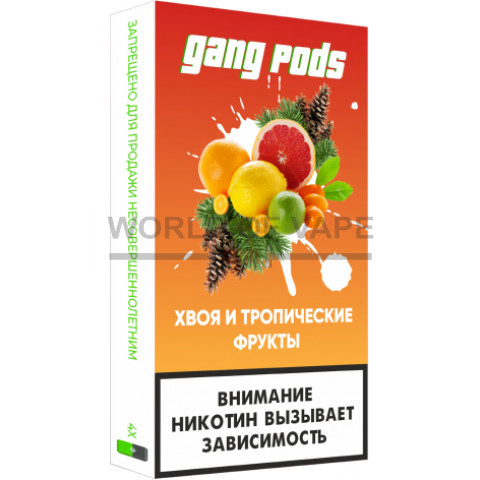 Комплект для JUUL GANG PODS - Хвоя и тропические фрукты (5.0%) 