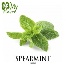 Ароматизатор My Flavor 10 мл - Mint (Мята)