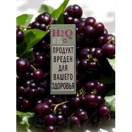 Жидкость для вейпа H2Q 30 мл #15 ( Смородина и Ментол ) 17±3 мг