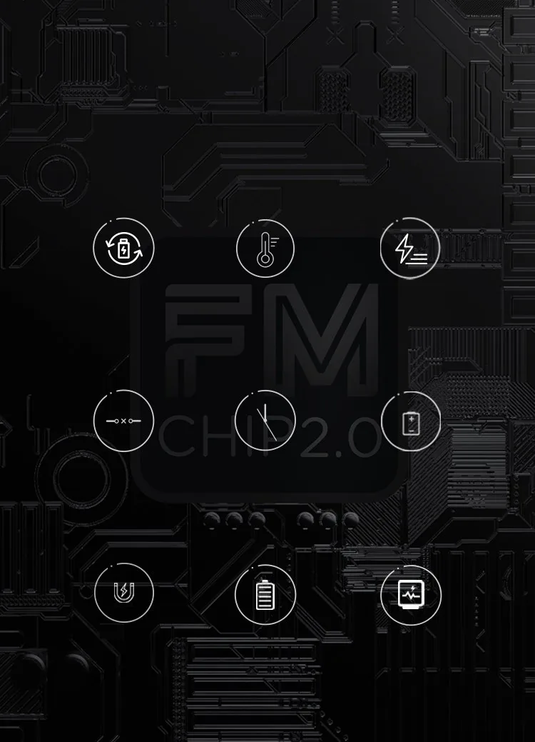 Электронные защиты FM CHIP 2.0 в Maxus 3