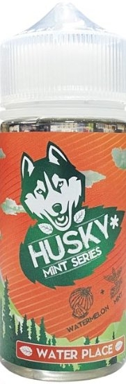 Жидкость Husky Mint Series Water Place 100мл